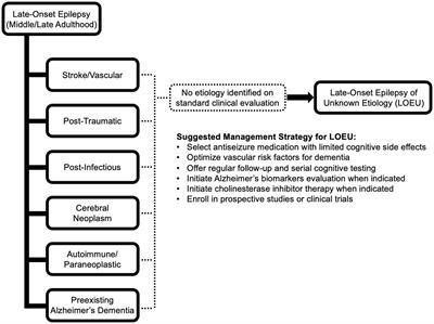 Clinical, imaging, and biomarker evidence of amyloid- and tau-related neurodegeneration in late-onset epilepsy of unknown etiology